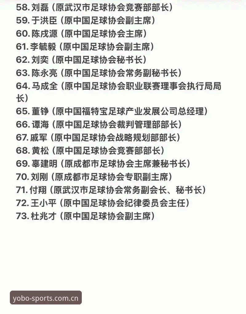 中国足协第三批禁足名单全面解析：17人终身禁赛，48人遭重罚，足球反腐风暴深度解读